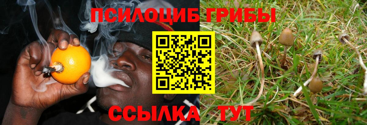 Грязи  наркотики  Вход с VPN  Псилоцибиновые грибы мицелий 